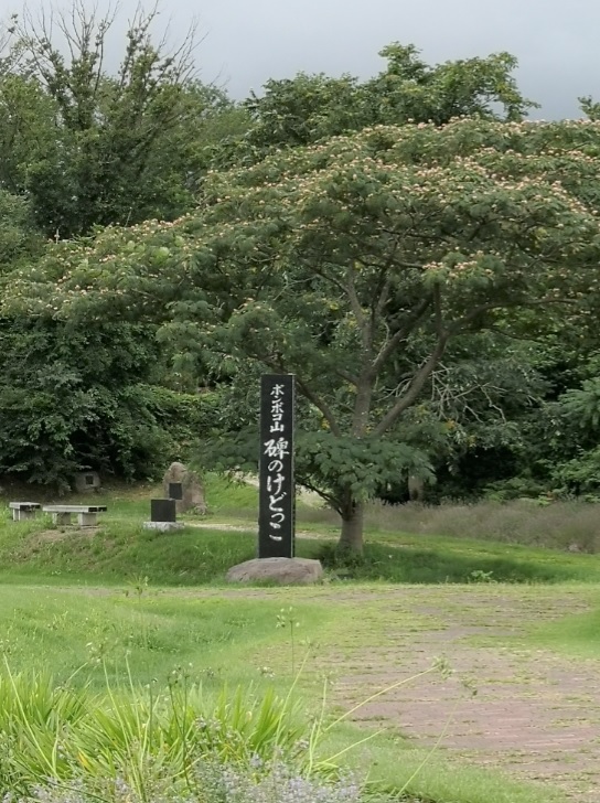 道の駅 みねはま おらほの館 ポンポコ山 海岸 お出かけmikemico